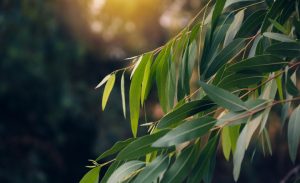 Bio-Gene Technology Limited - Home